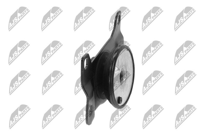 Paigutus, Mootor, NTY ZPS-FR-052