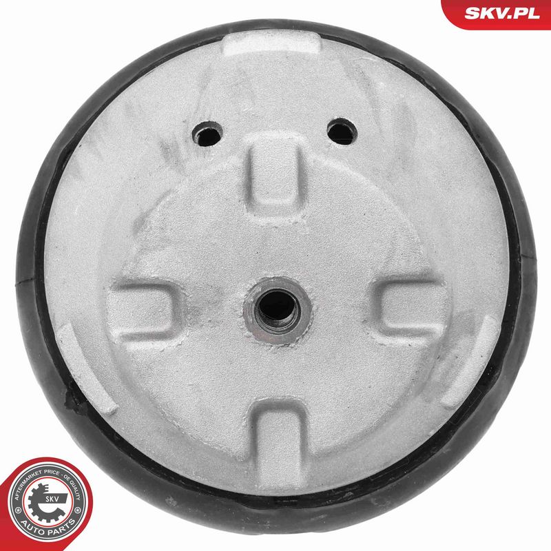 Paigutus, Mootor, ESEN SKV 75SKV002