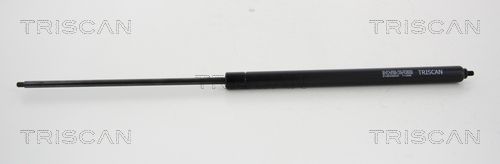 TRIS8710819488500.JPG