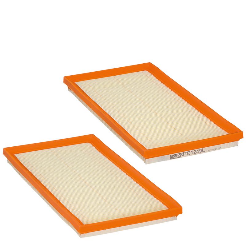 HENGST FILTER E1249L-2 Oro filtras