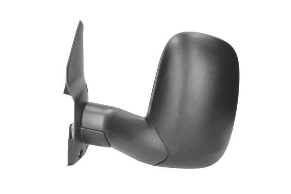 BLIC 5402-03-2001317P Exterior Mirror