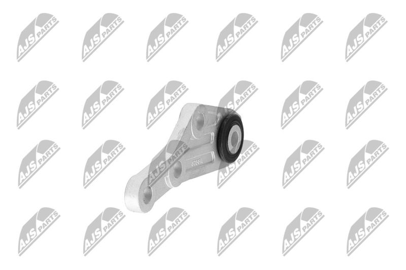 Paigutus, Mootor, NTY ZPS-CH-124