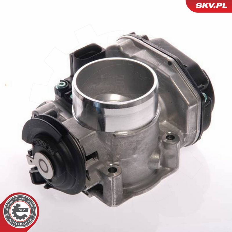 ESEN SKV 12SKV019 Throttle Body