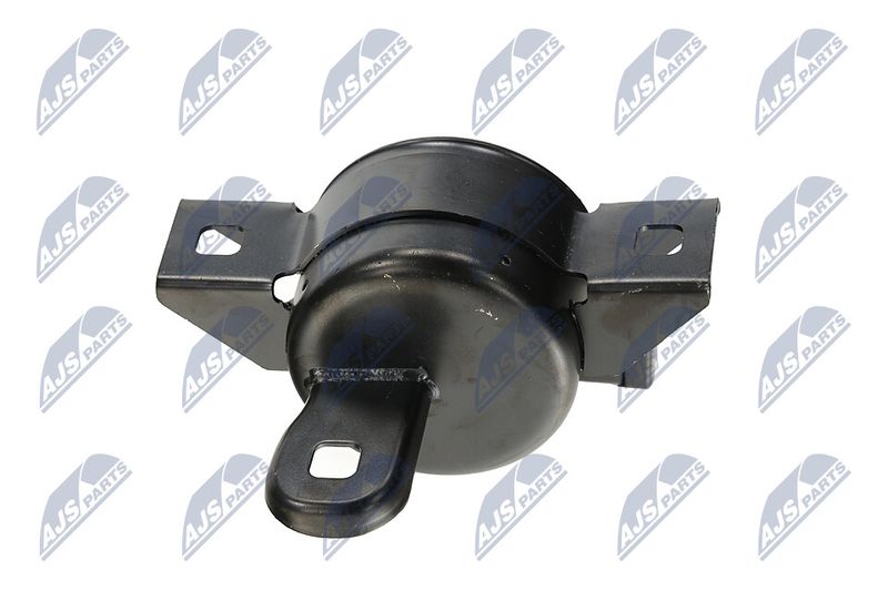 Paigutus, Mootor, NTY ZPS-DW-011