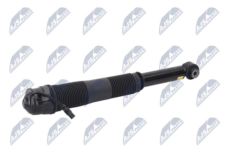 Amort, NTY A-LR-022