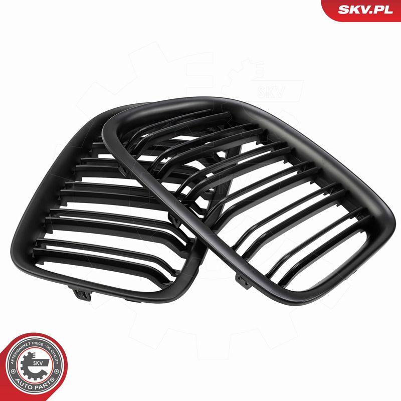 Radiaatorivõre, ESEN SKV 66SKV231