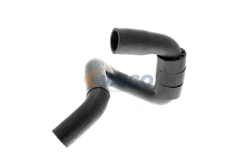 VAICO V10-4664 Talosa Radiator Hose
