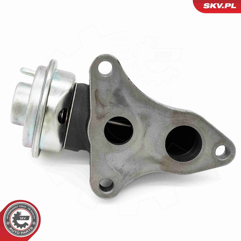 ESEN SKV 14SKV263 EGR Valve
