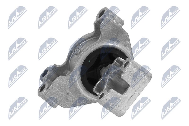Paigutus, Mootor, NTY ZPS-PE-031