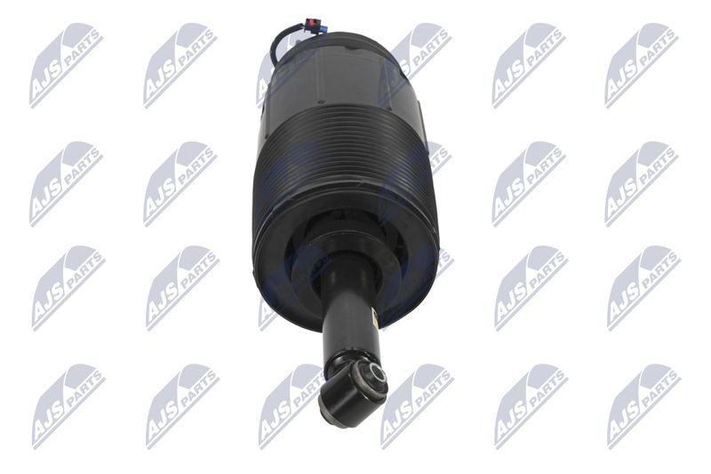 Amort, NTY A-CH-099