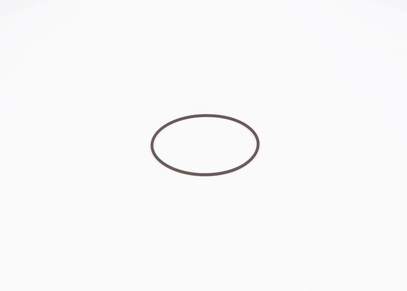 Inel de etansare F 01M 100 371 BOSCH