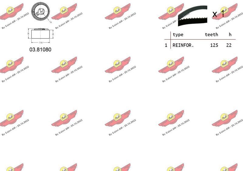 AUTOKIT 04.5252 Timing Belt Kit