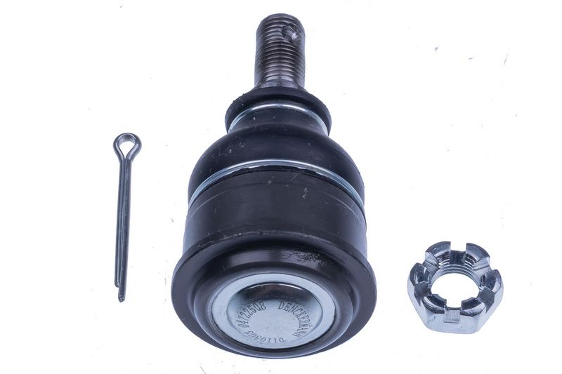 Kande-, juhtliigend,...