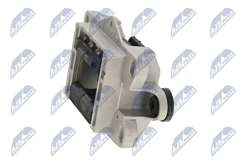 Paigutus, Mootor, NTY ZPS-FR-041