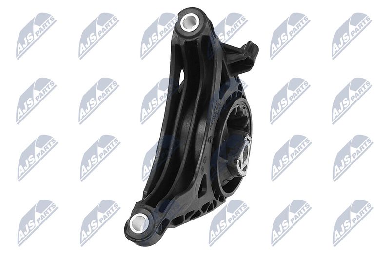 Paigutus, Mootor, NTY ZPS-PL-011