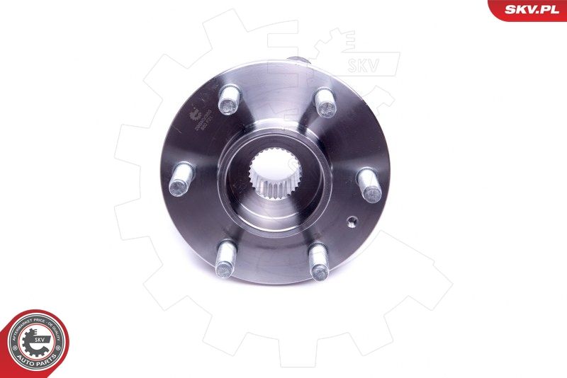 ESEN SKV 29SKV365 Wheel Bearing Kit