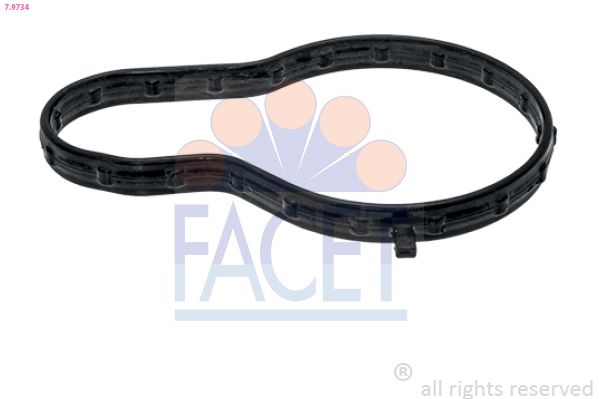 7.9734-FA.JPG