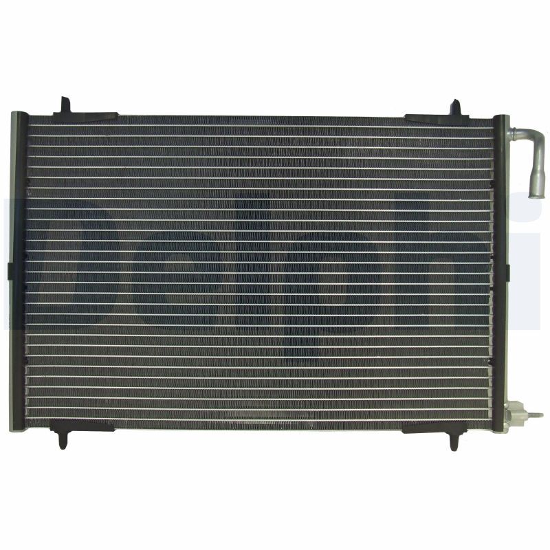 TSP0225199.JPG