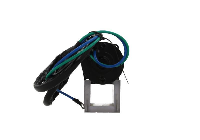 BV PSH 350.559.000.200 Electric Motor