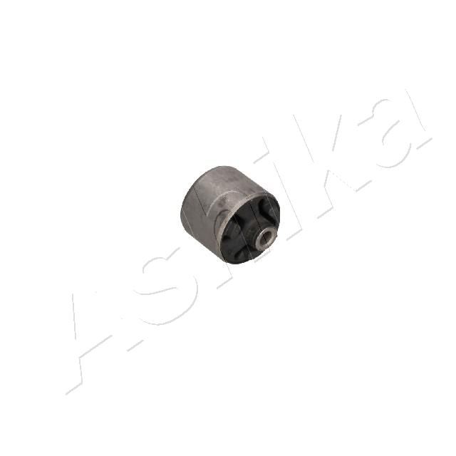 GOM-641_1.JPG