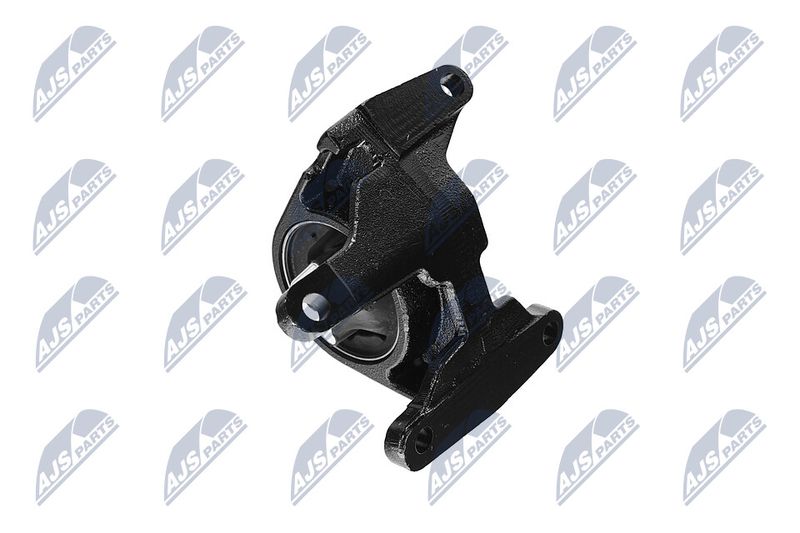 Paigutus, Mootor, NTY ZPS-CH-087