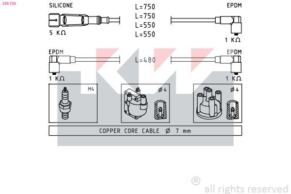 359 736-KW.JPG