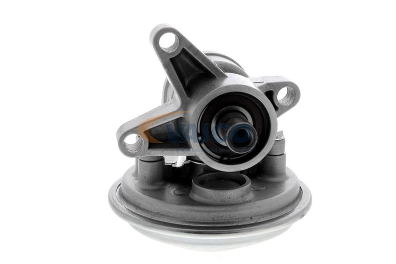 VAICO V25-1907 Mounting, engine