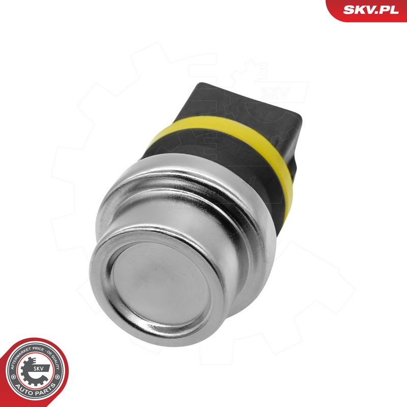 This part match OEM code: 06H 103 171 A