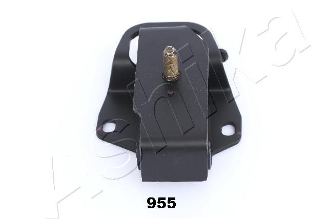 GOM-955_2.JPG