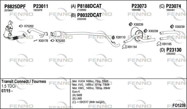 FO1239.JPG