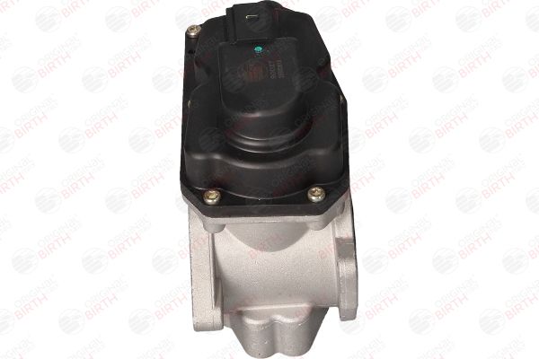 BIRTH 90027 EGR Valve