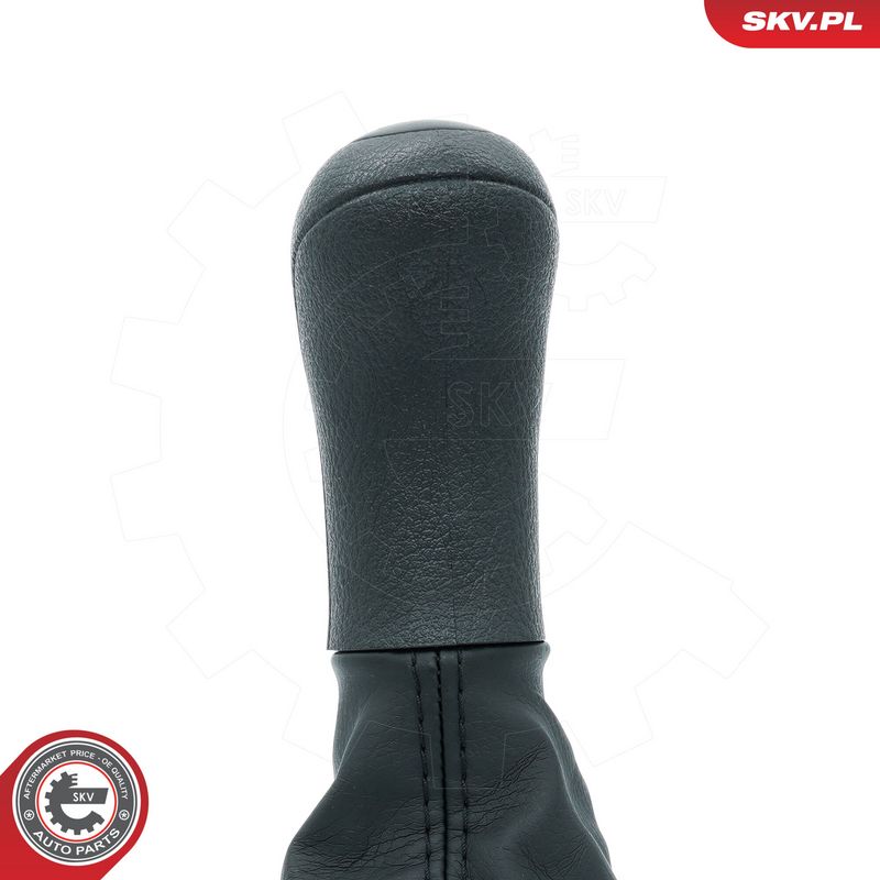 Käigukanginupp, ESEN SKV 63SKV479