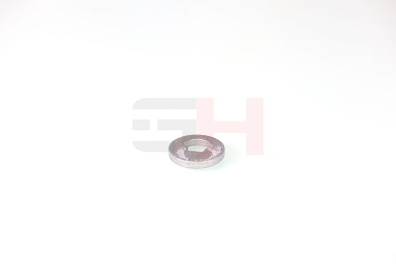 caster shim, sillatala, GH GH-391582