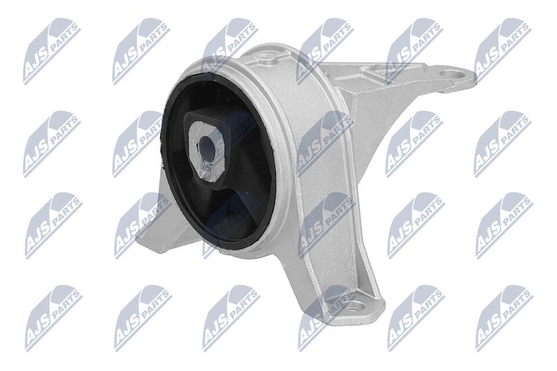 Paigutus, Mootor, NTY ZPS-PL-001