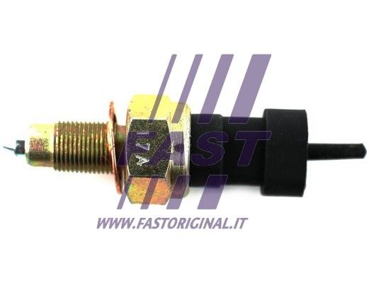 FT81083_1_1.JPG