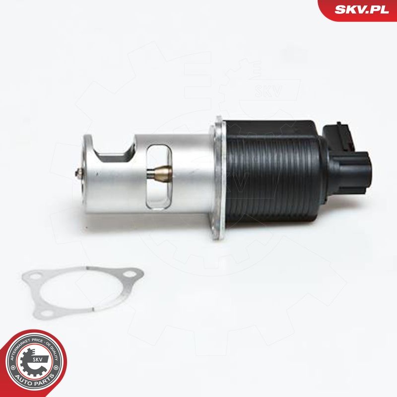 EGR-klapp, ESEN SKV 14SKV032