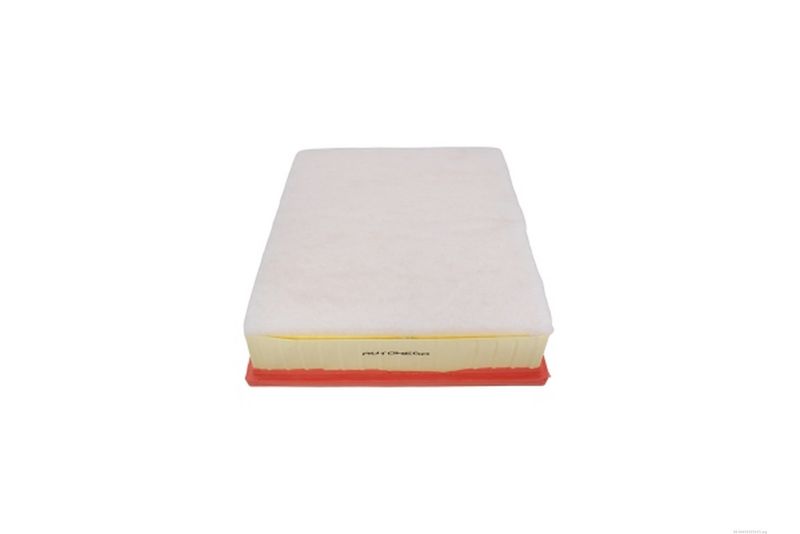 AUTOMEGA 246765010 Oro filtras