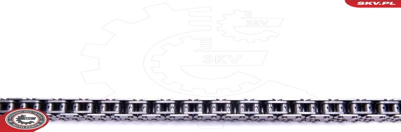 Комплект ланцюгів привода, Skv Germany 21SKV177