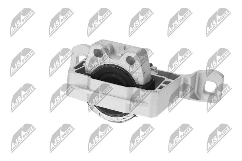 Paigutus, Mootor, NTY ZPS-FR-045