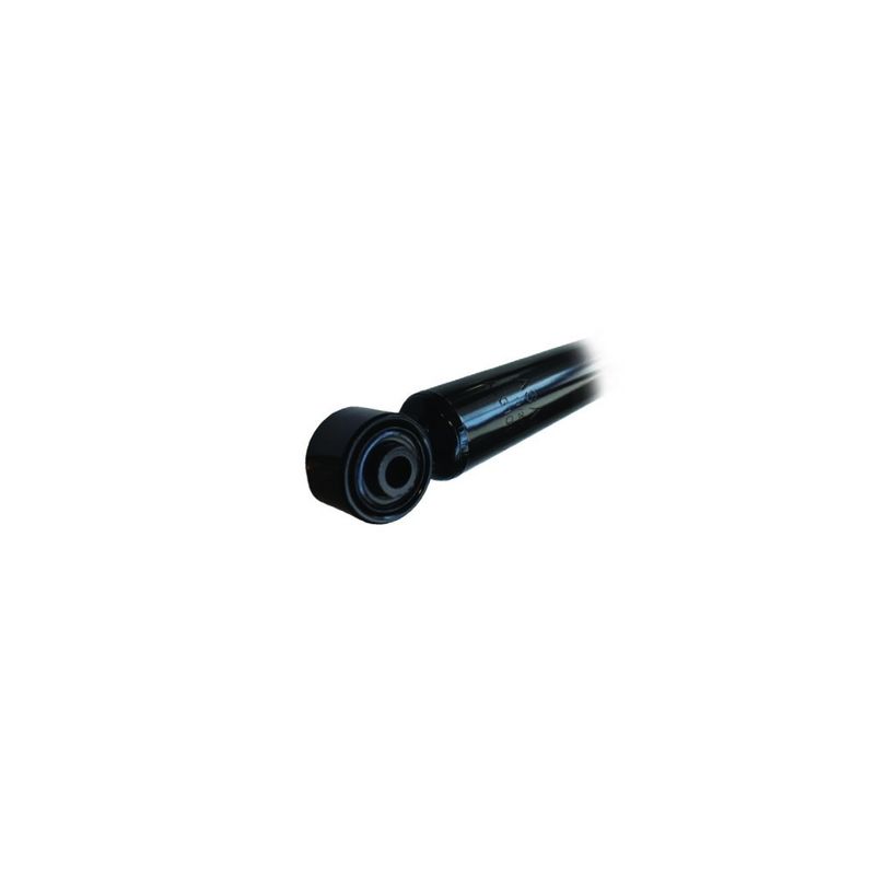 ASAM AUTOMOTIVE 05731 Shock Absorber