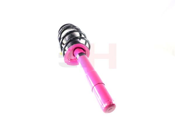 GH GH-351581C01 Suspension Strut