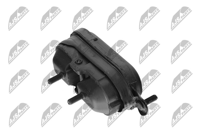 Paigutus, Mootor, NTY ZPS-CH-115