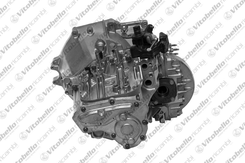 Vitobello ricambi 1004472R Manual Transmission
