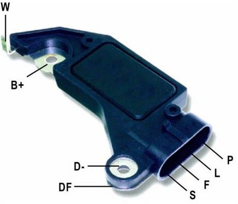 DDF_AMP0711_WR.JPG