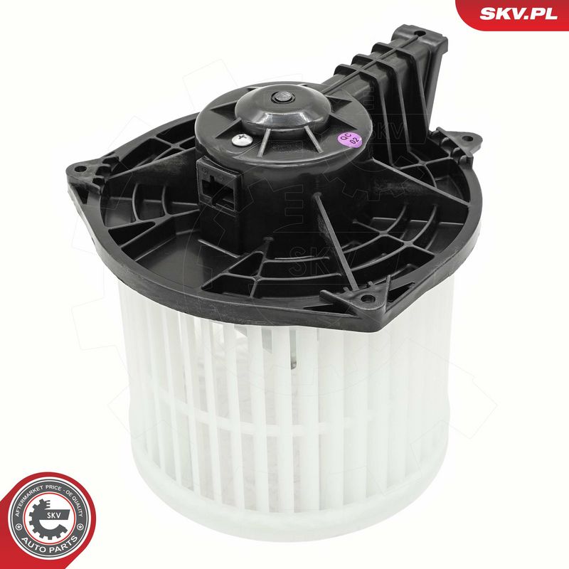 Salongipuhur, ESEN SKV...