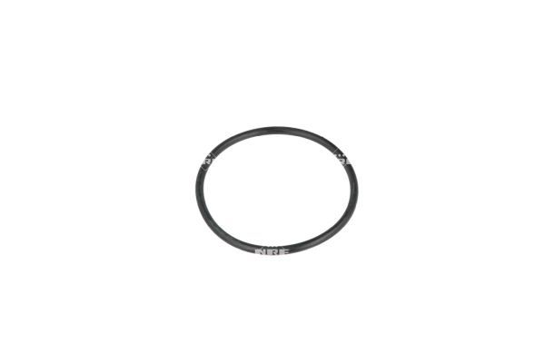 NRF 725290 Thermostat, coolant