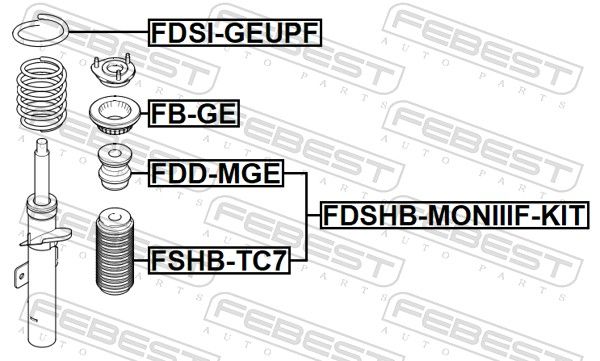 FDSI-GEUPF_1.JPG