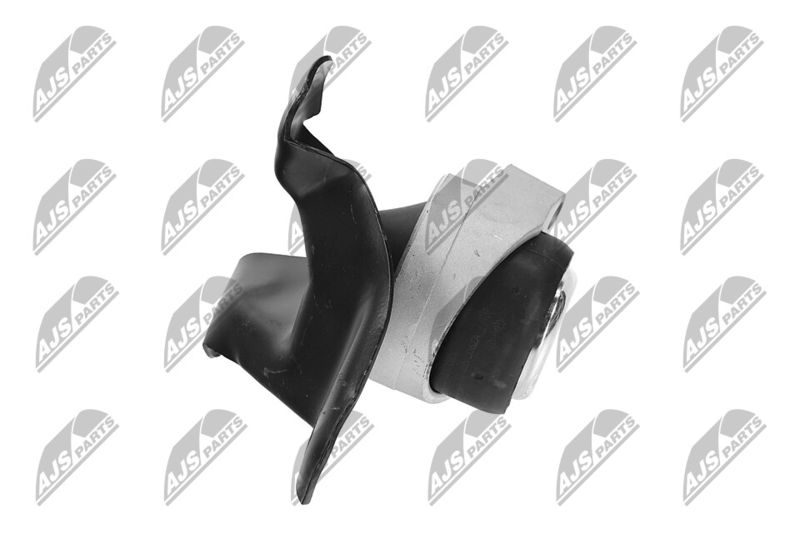 Paigutus, Mootor, NTY ZPS-FR-011