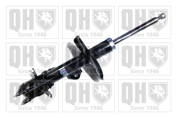 QH_QAG181083.JPG