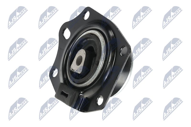 Paigutus, Mootor, NTY ZPS-CH-014